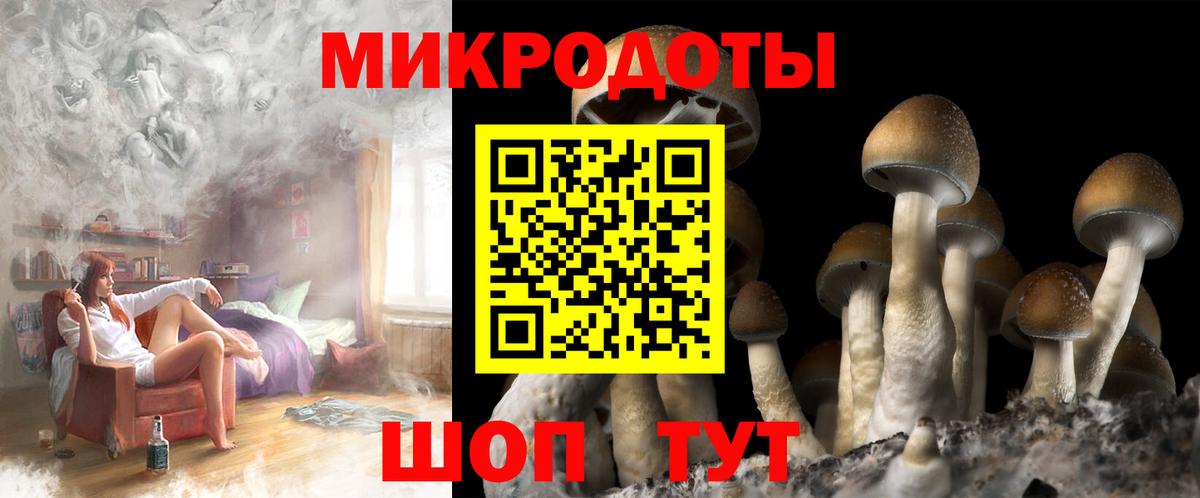 Добрянка  Галлюциногенные грибы мицелий  Вход с VPN 